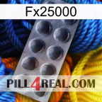 Fx25000 30